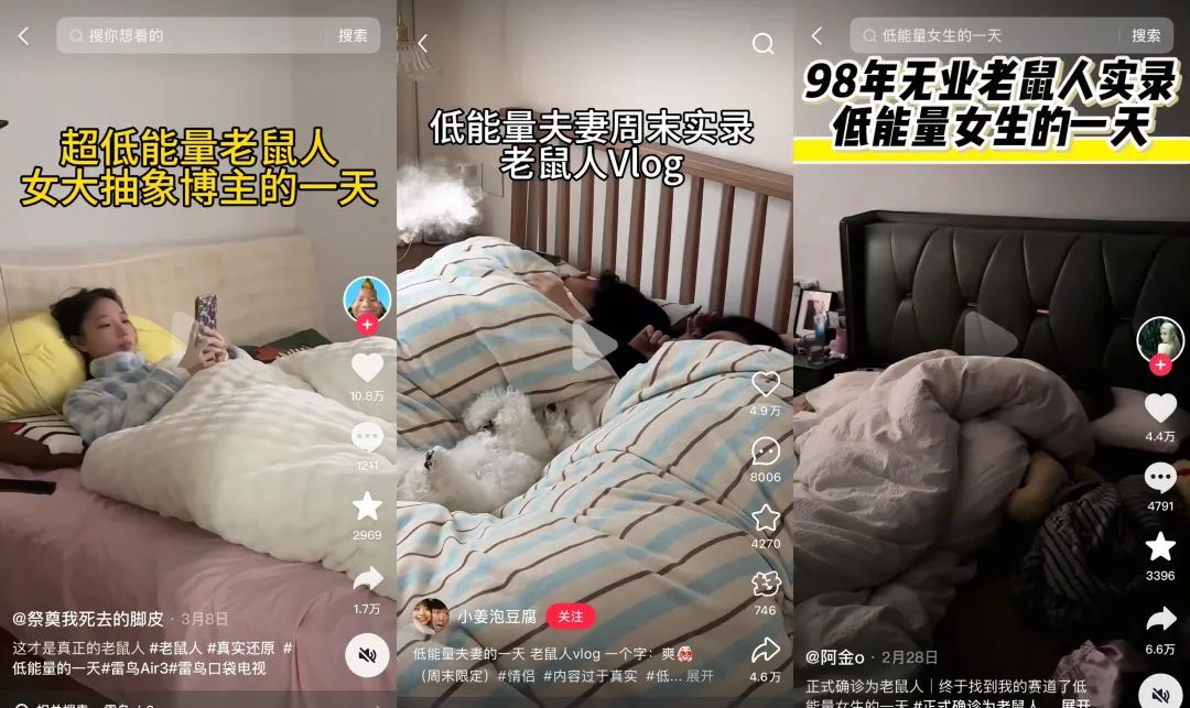 热点，老鼠人，社会化