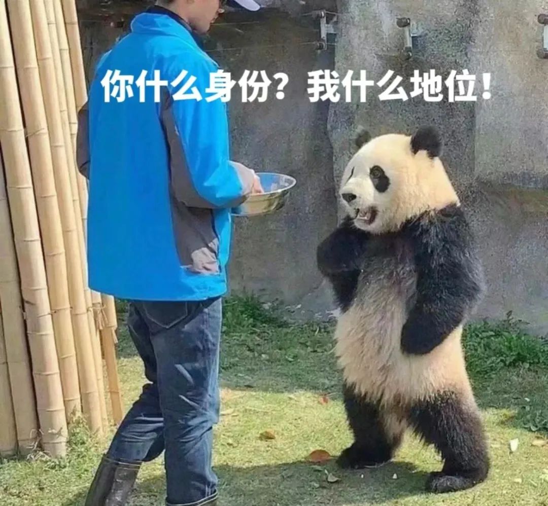 NIO屋对外开放，蔚来车主的身份感，没了