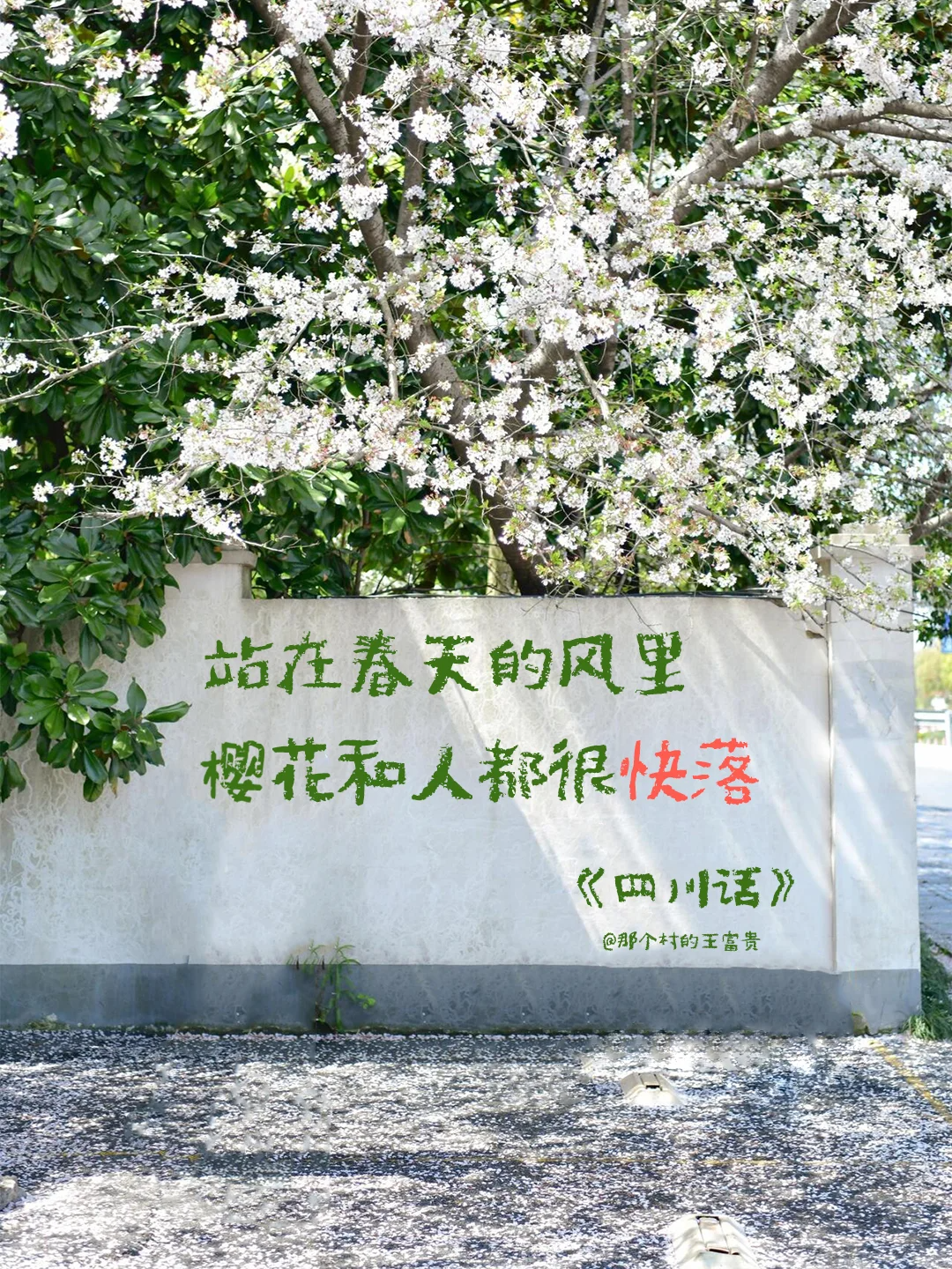 春天，文案，合集
