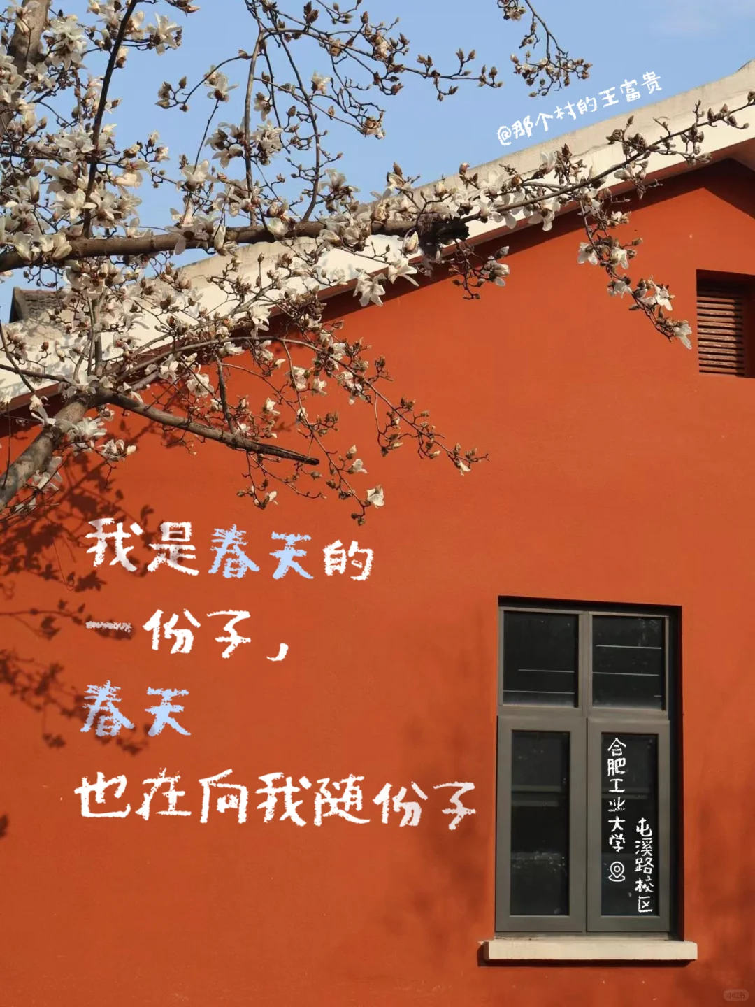 春天，文案，合集