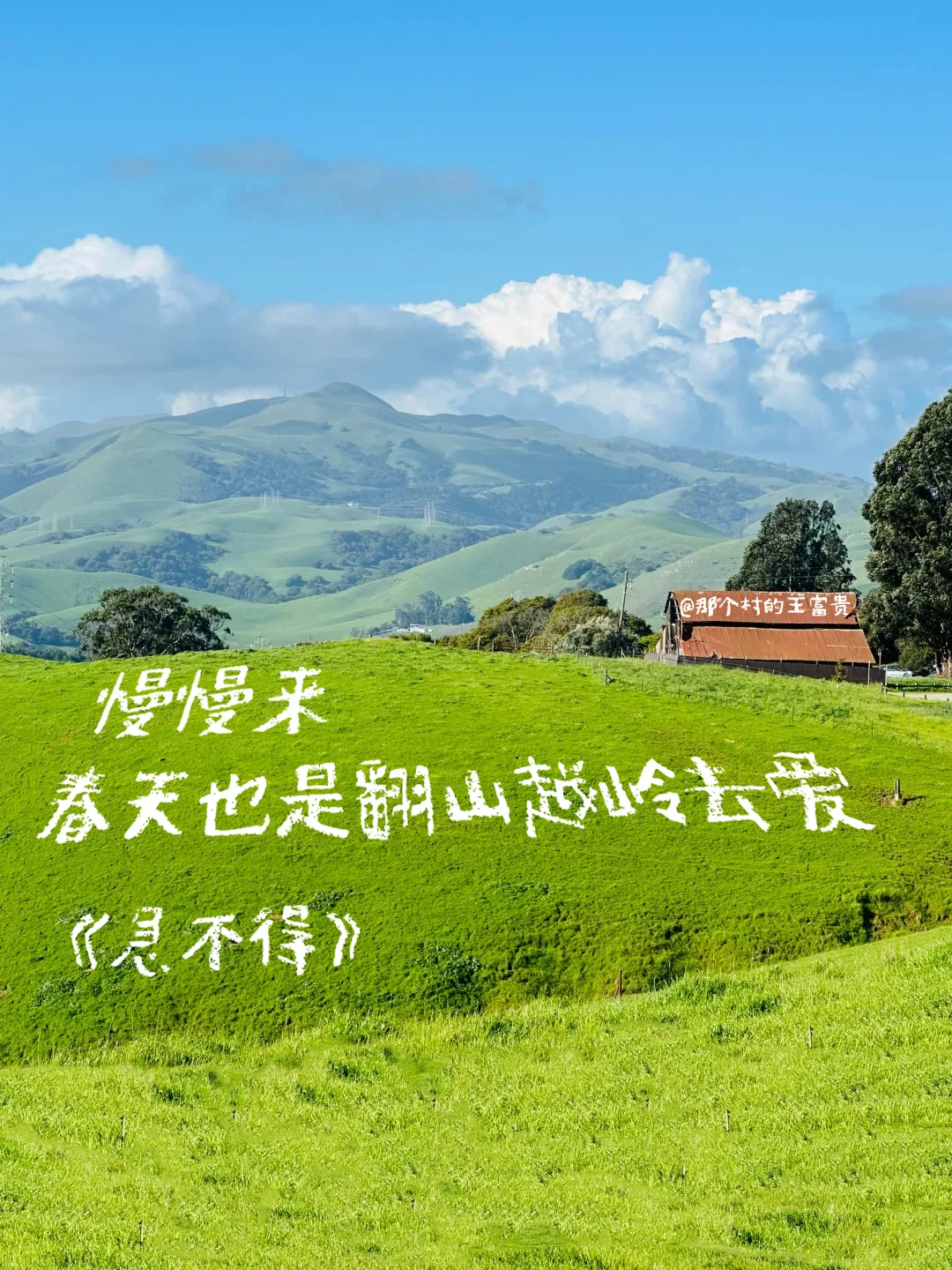 春天，文案，合集