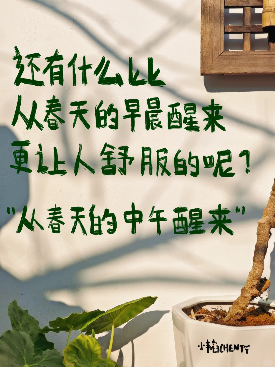 春天，文案，合集