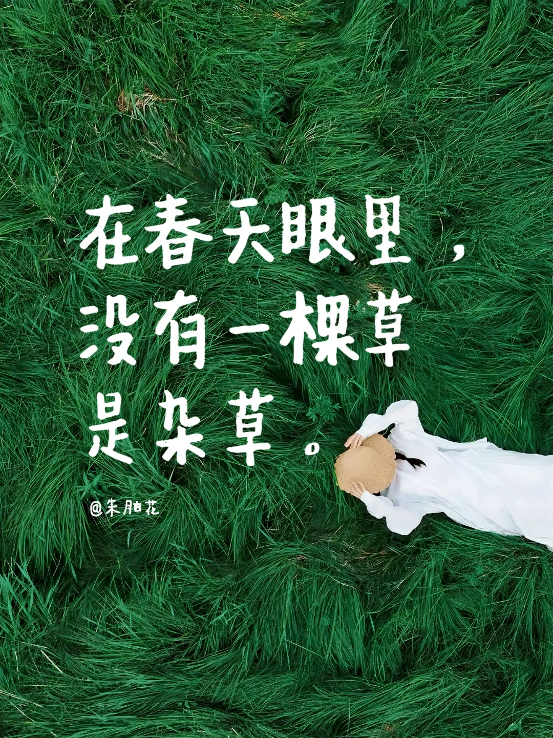 25首春天的诗，喷薄而出！