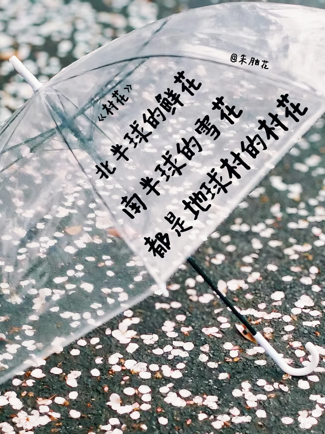 25首春天的诗，喷薄而出！