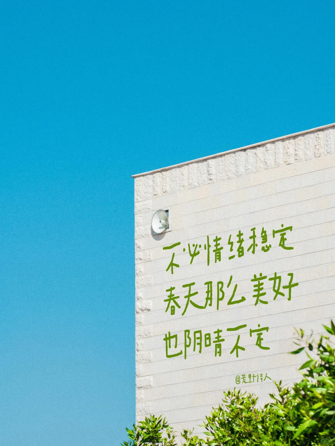 25首春天的诗，喷薄而出！