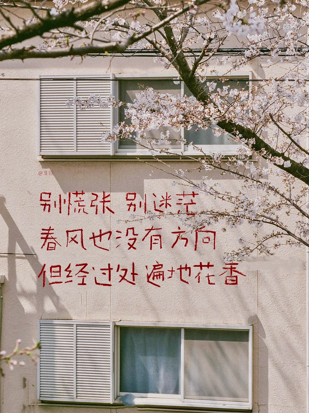 25首春天的诗，喷薄而出！