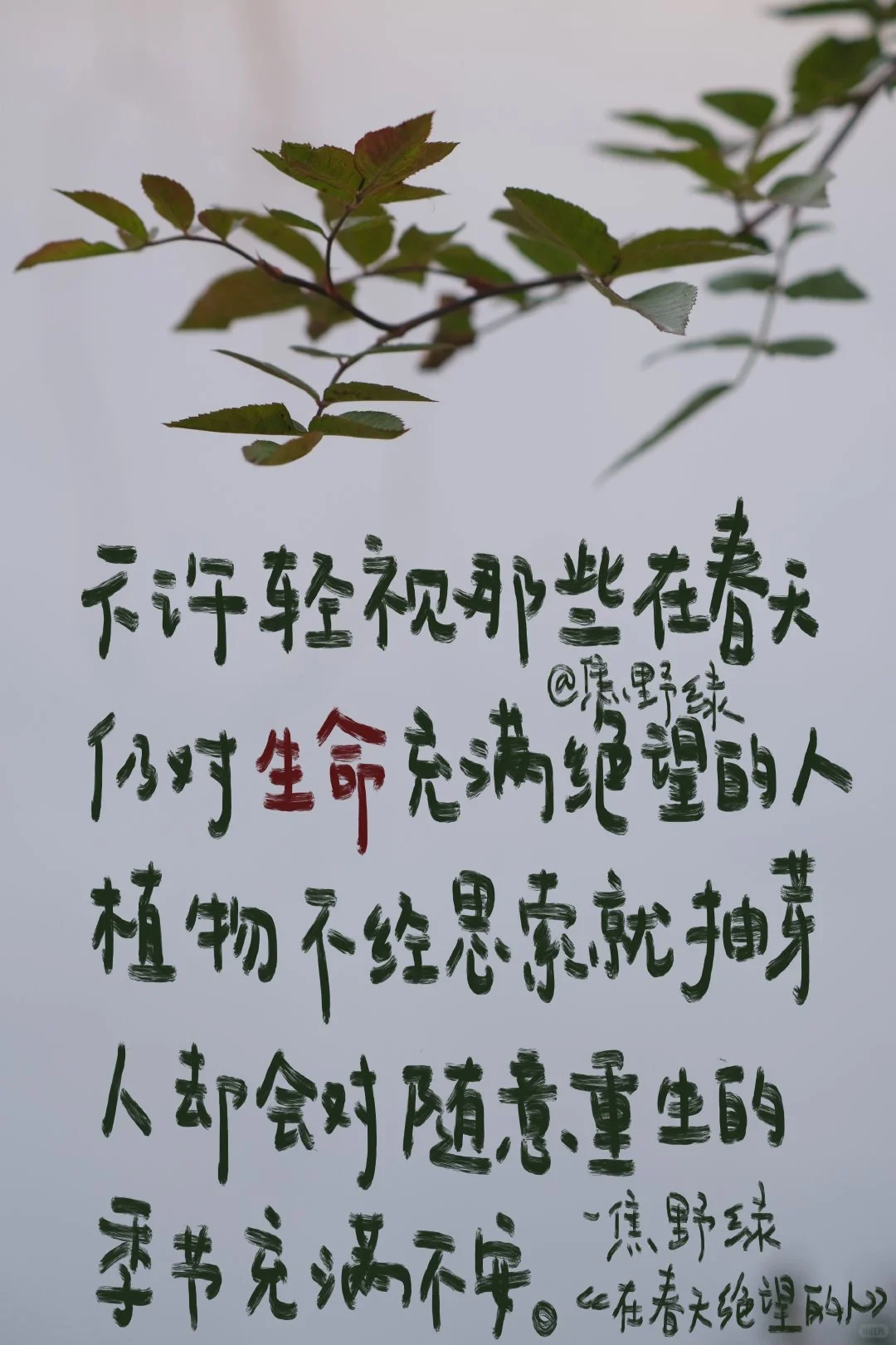25首春天的诗，喷薄而出！