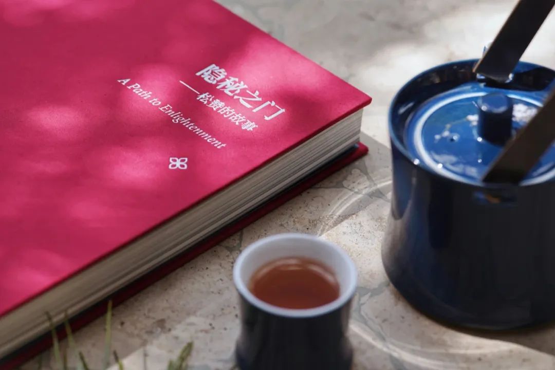 松赞集团，蔡景晖，人物专访