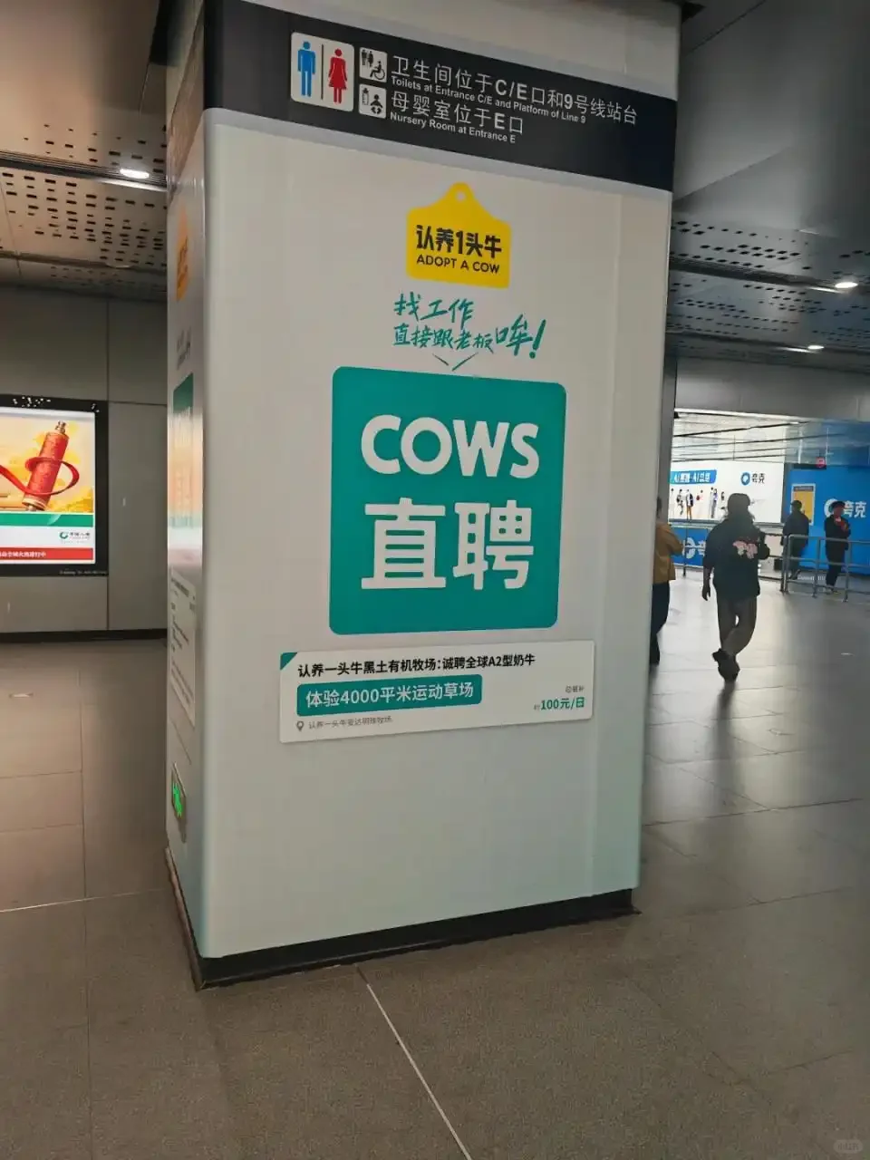 认养一头牛，公关，舆论，观点洞察
