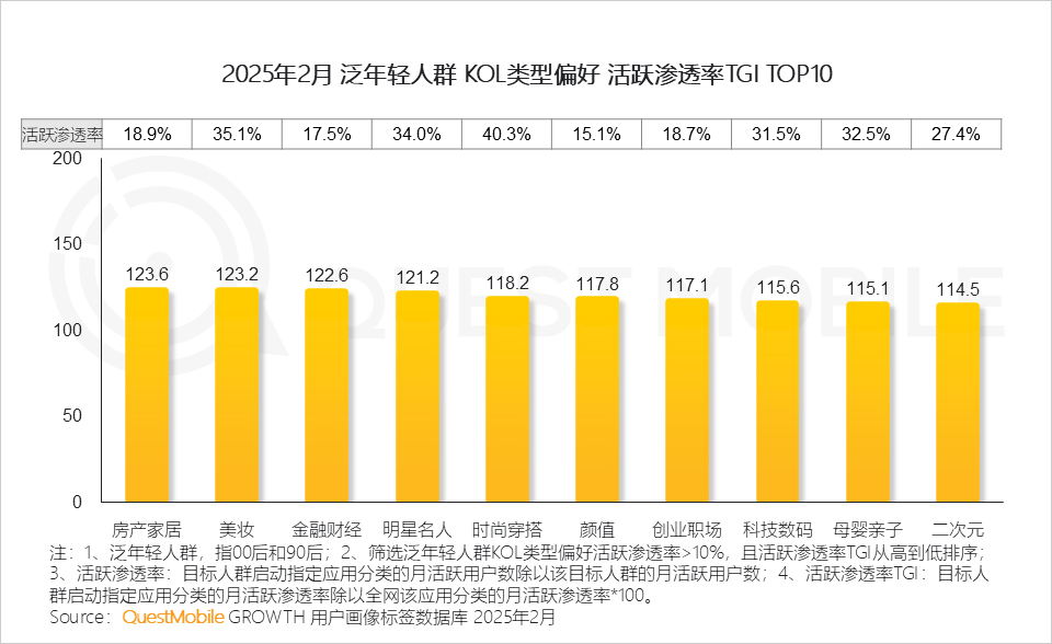 2025泛年轻人群营销洞察报告，理性与放飞并存