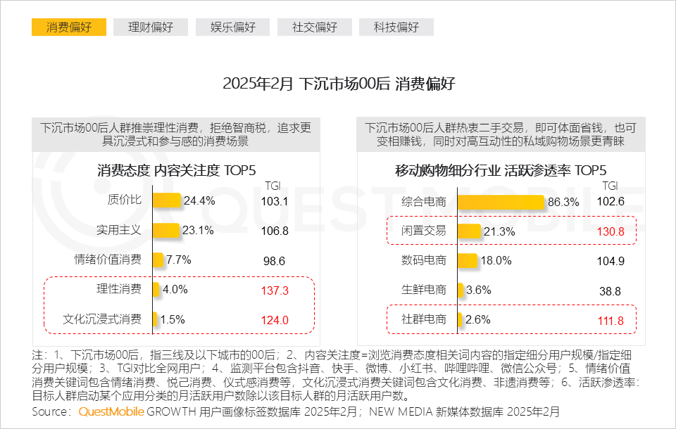 2025泛年轻人群营销洞察报告，理性与放飞并存
