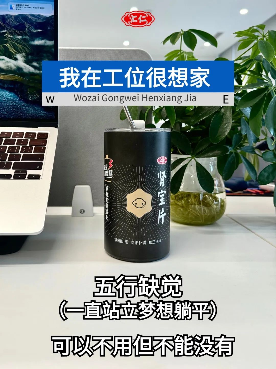 我把增量增长大模型迭代到2.0了！
