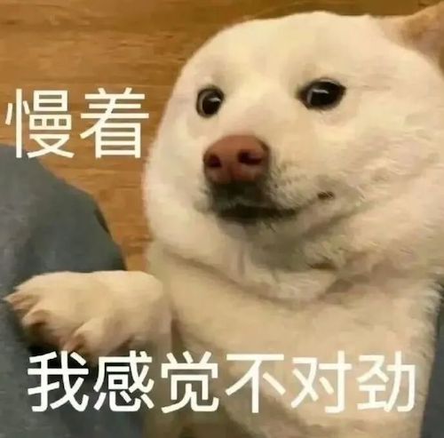 a007f1e0ly1i0xc3ya16wj20j60iw3zg.jpg