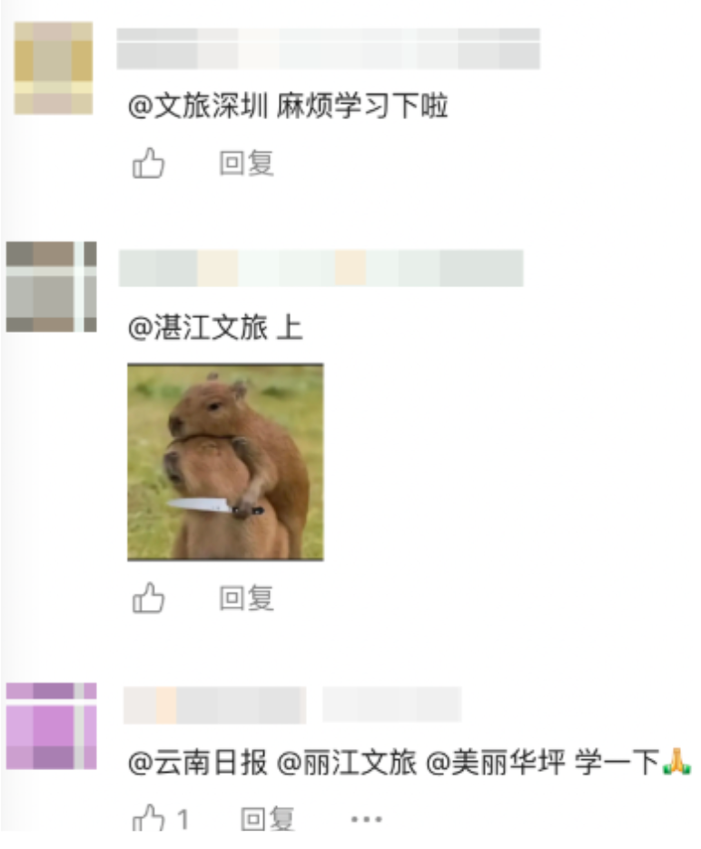 项目背后，艾迪因赛，文旅营销