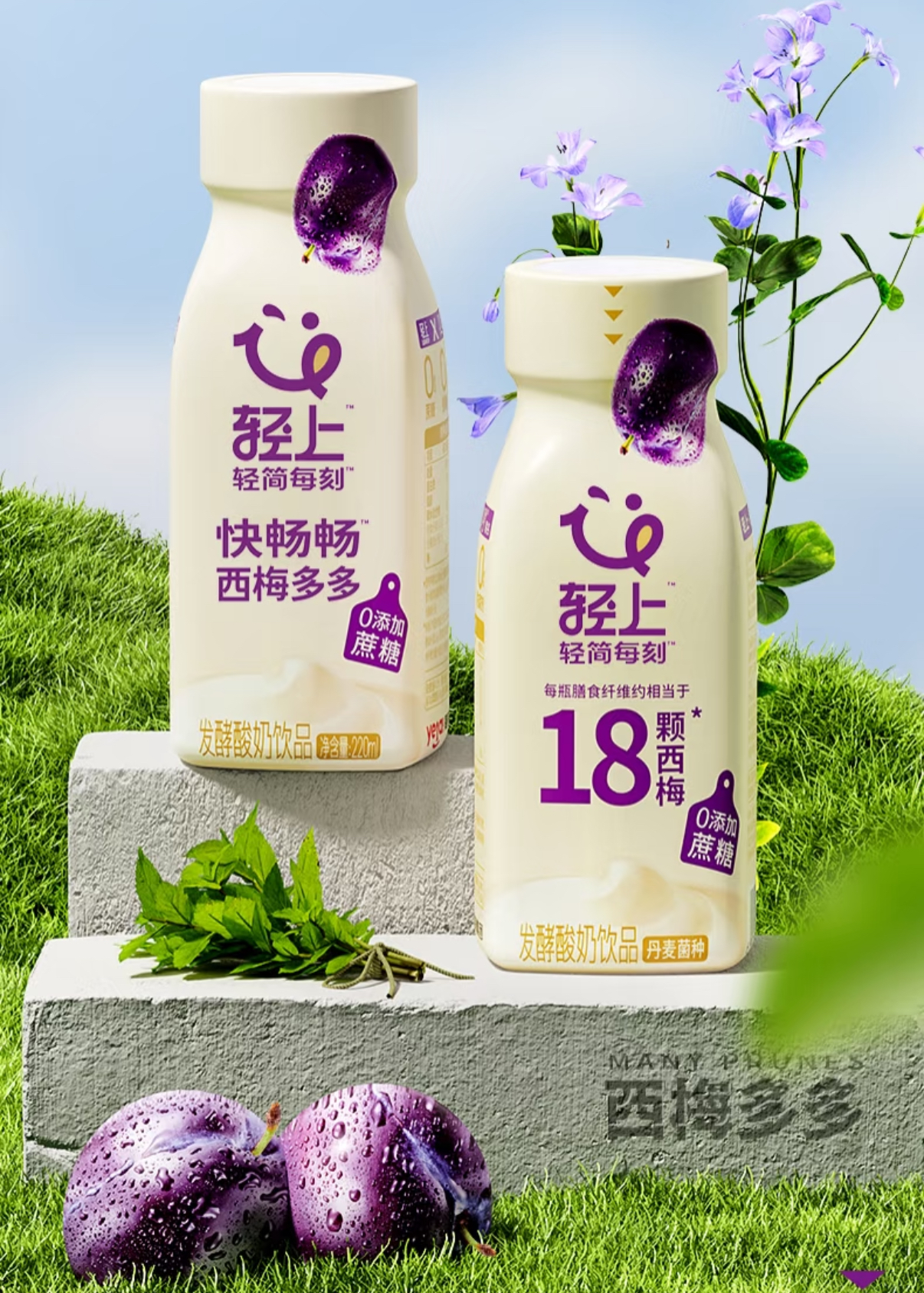 轻上.jpg
