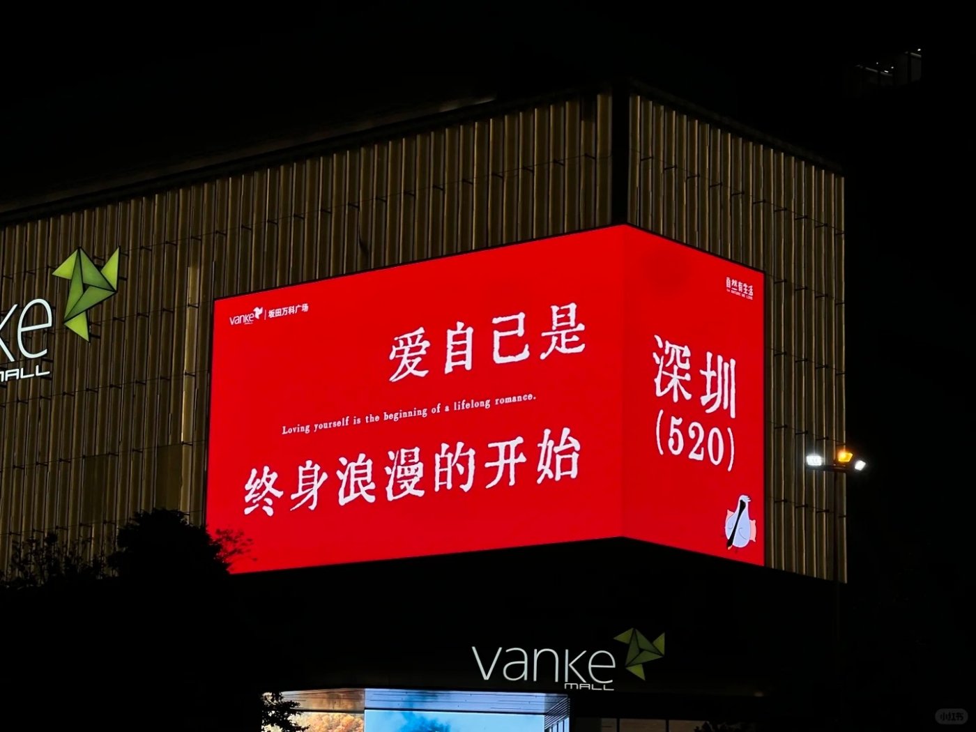 1747717041106521.jpg