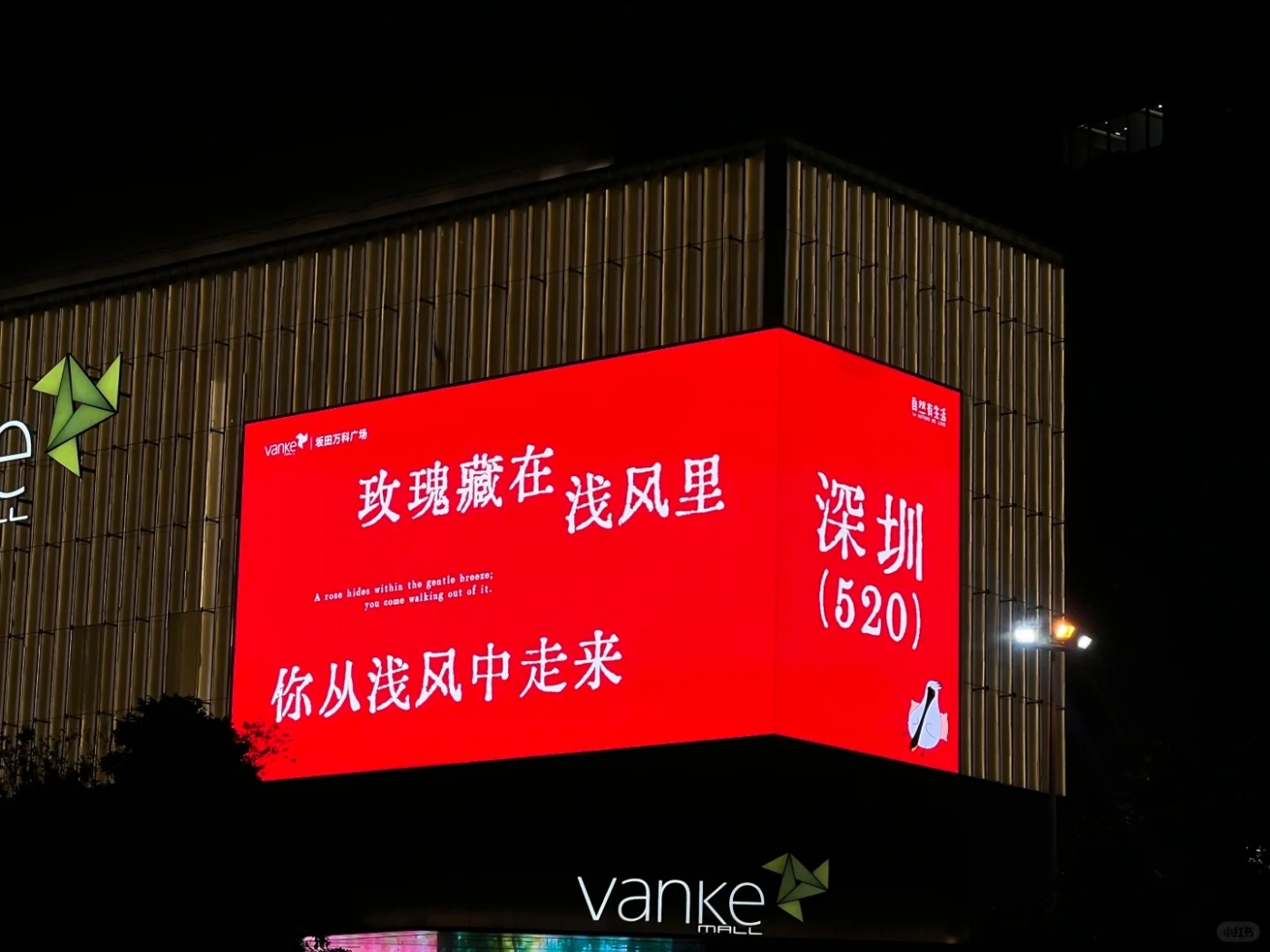 1747717041117851.jpg