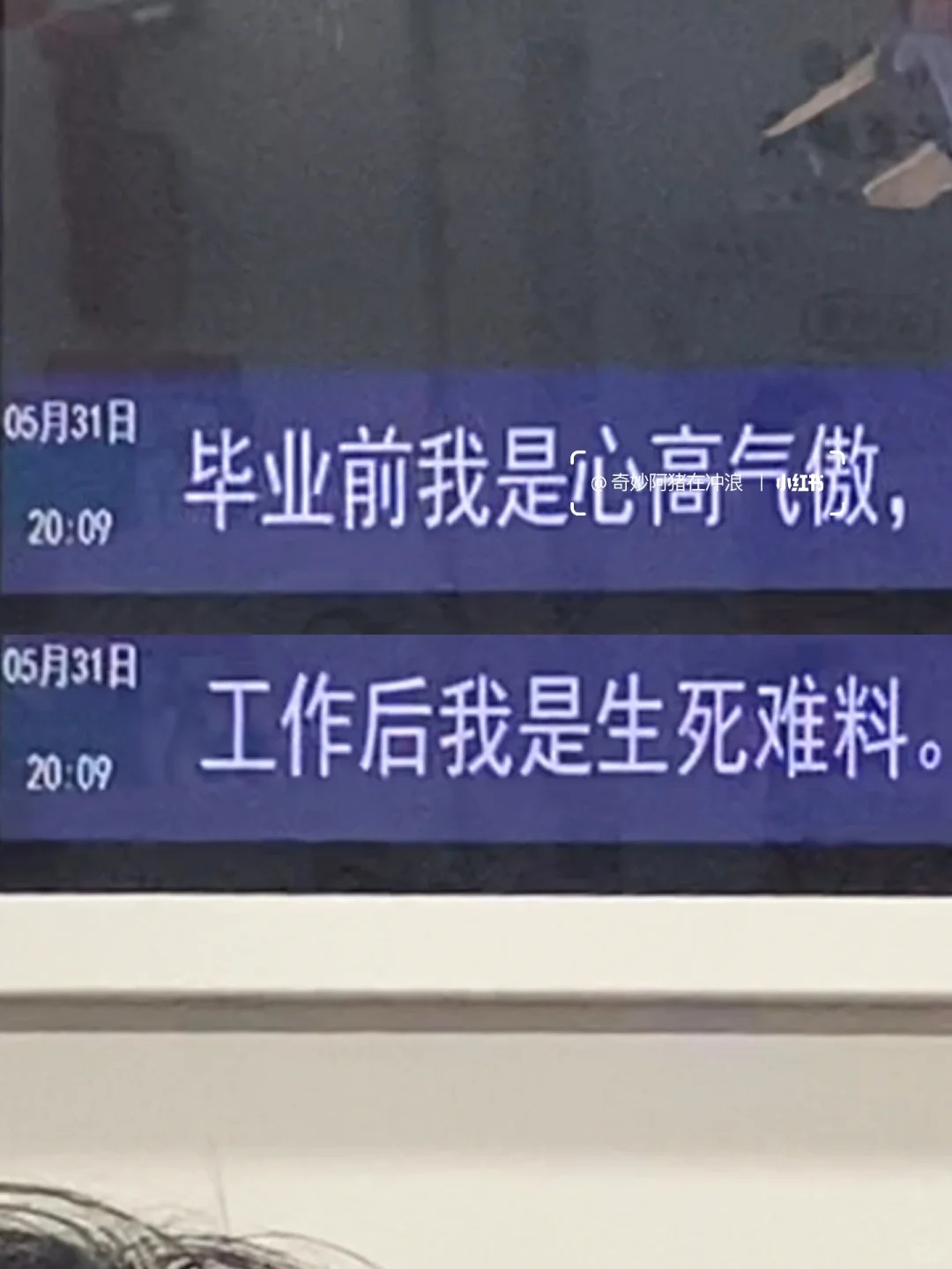厦门地铁树洞，文案