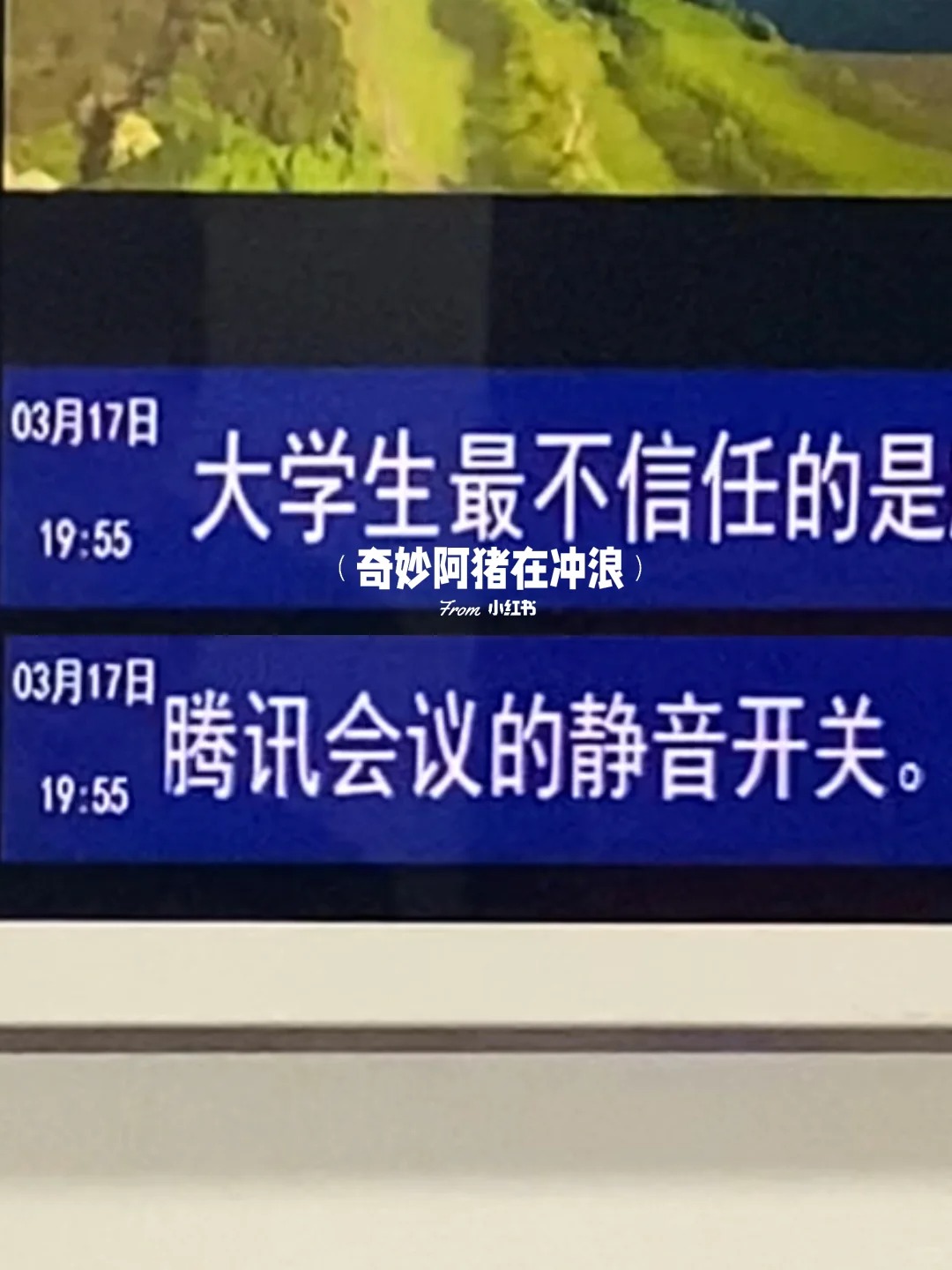 厦门地铁树洞，文案