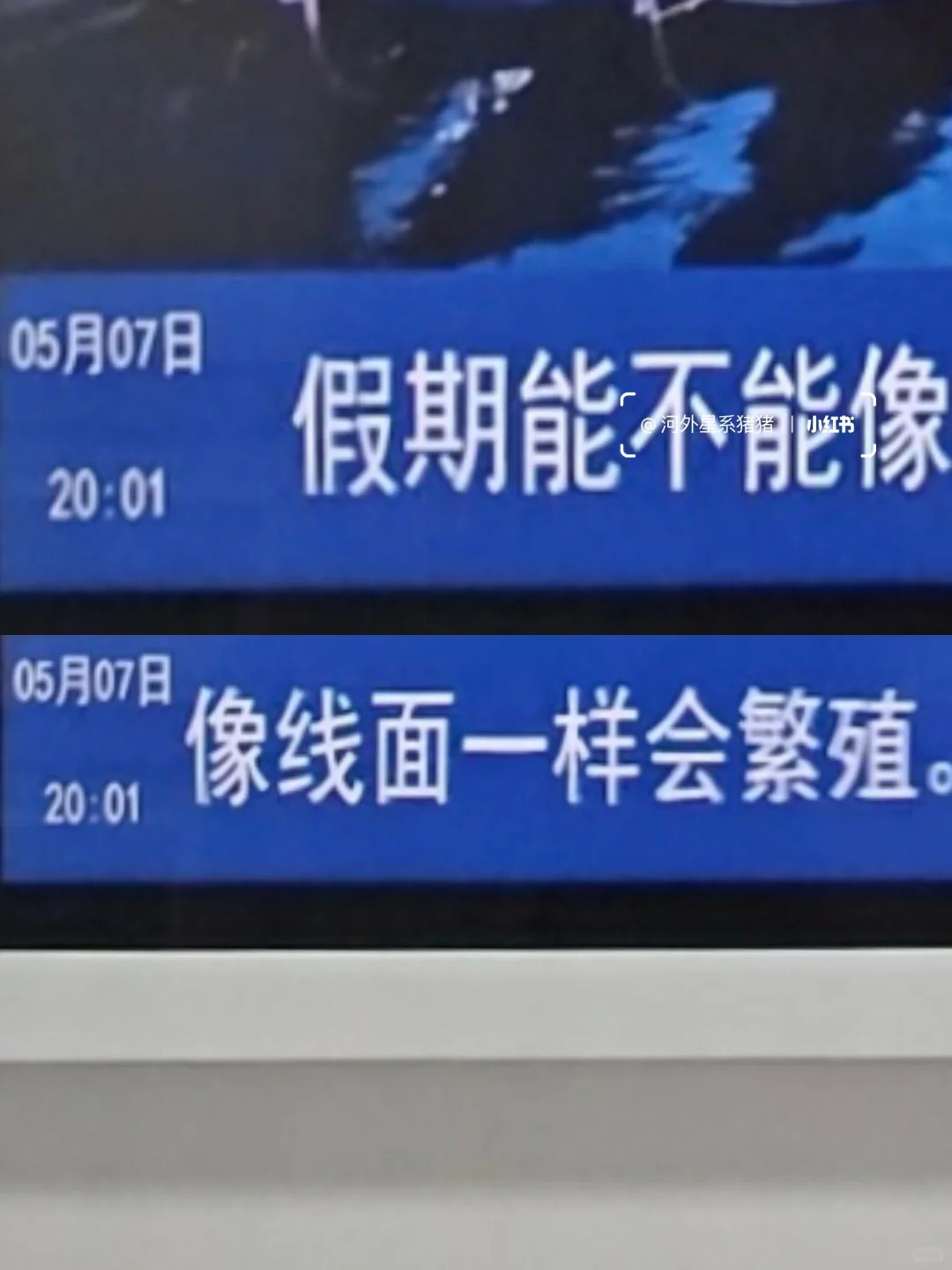 厦门地铁树洞，文案