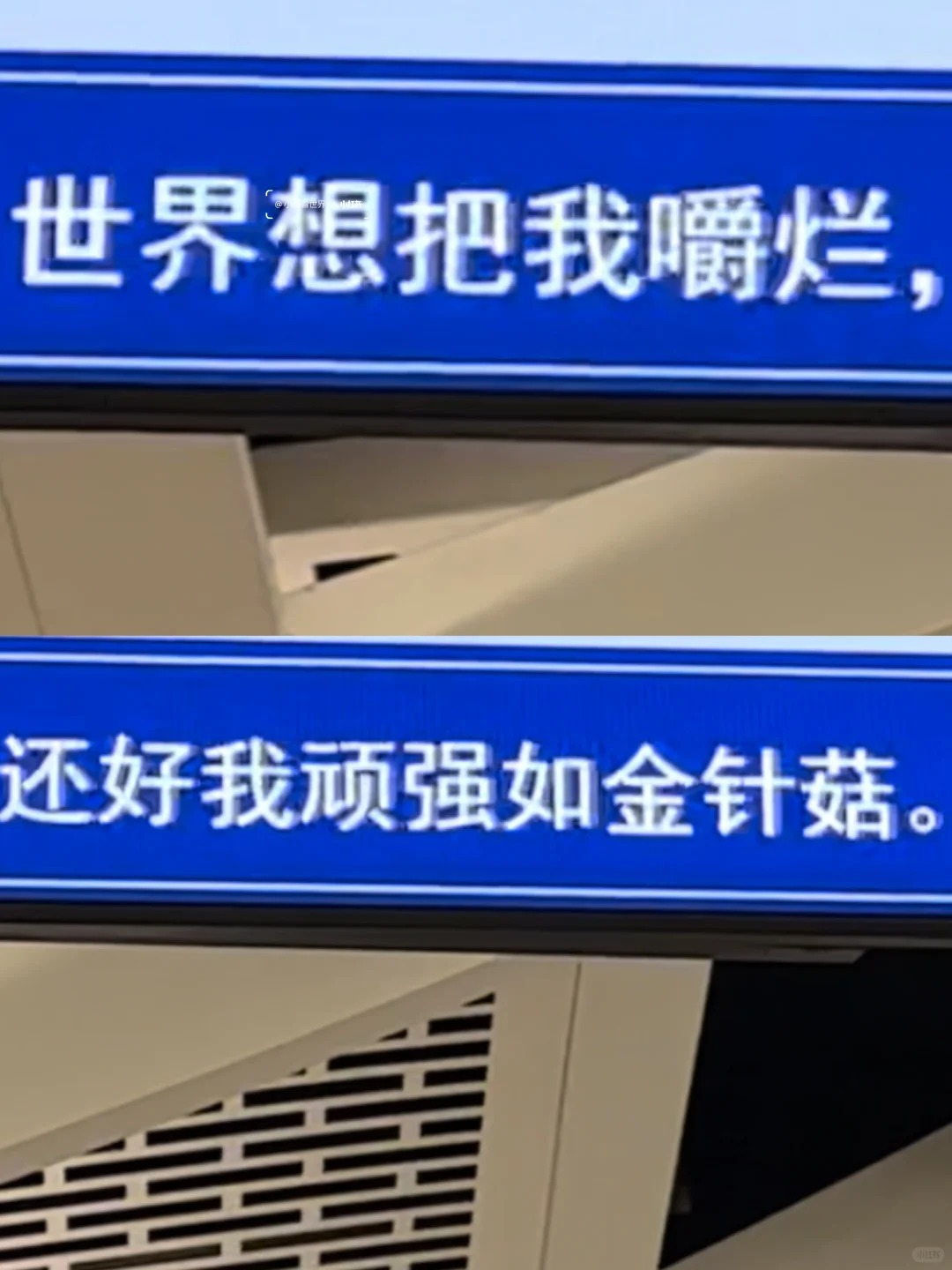 厦门地铁树洞，文案