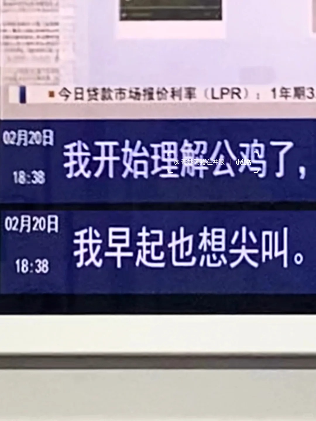 厦门地铁树洞，文案