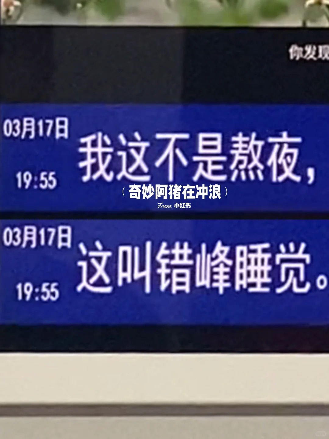厦门地铁树洞，文案
