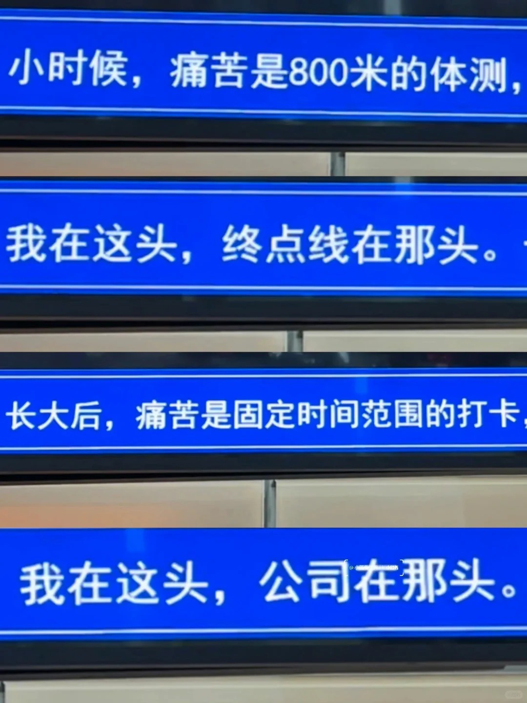 厦门地铁树洞，文案
