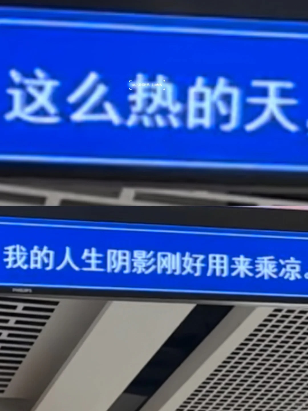 厦门地铁树洞，文案