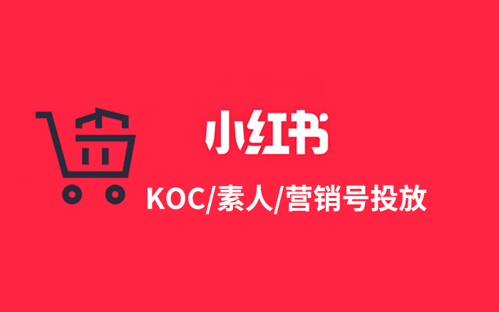 8300字拆解，小红书KOC、素人和营销号的协同投放