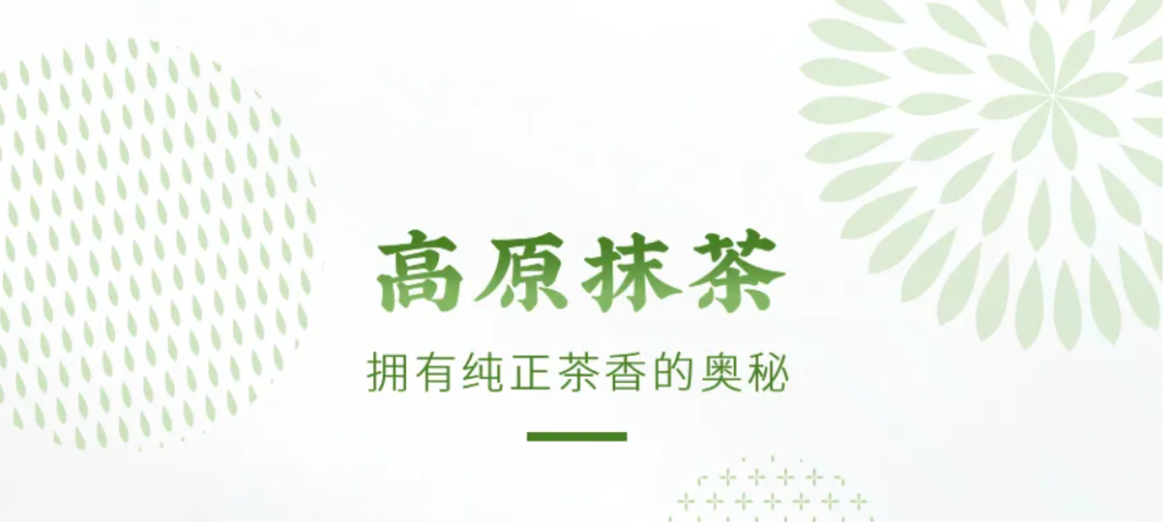 抹茶，企业营销