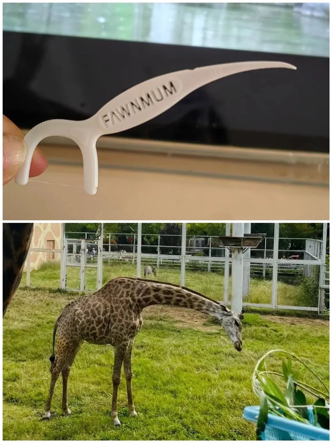 小鹿妈妈牙线的包装设计吐槽