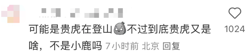 小鹿妈妈牙线的包装设计吐槽