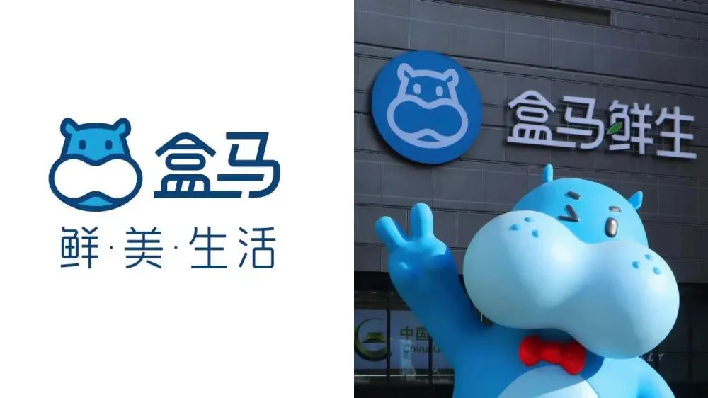只为会员服务的山姆：凭什么续费率达90%