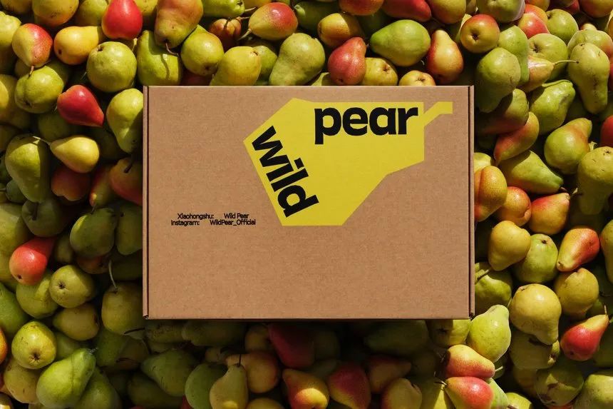 D&AD 2025获奖公布，中国创意人41支铅笔及入围作品一览