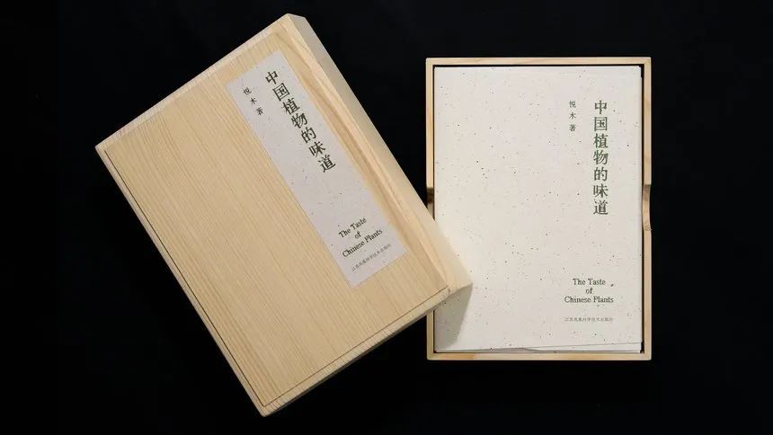 D&AD 2025获奖公布，中国创意人41支铅笔及入围作品一览