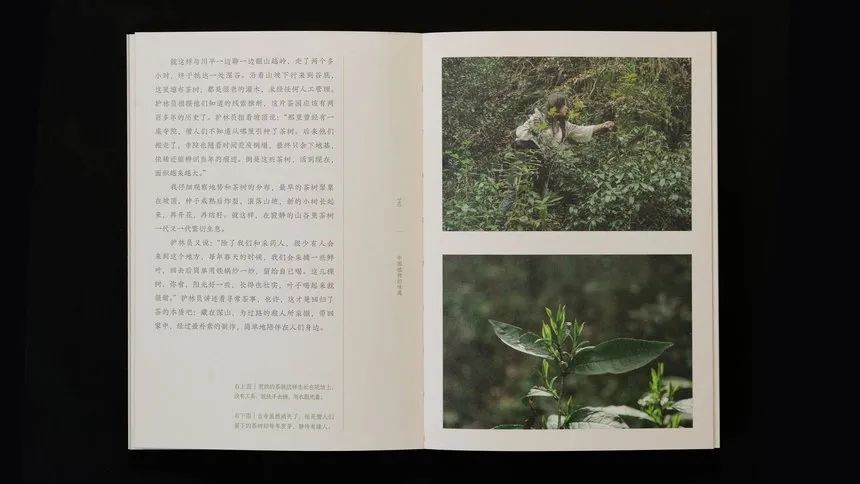 D&AD 2025获奖公布，中国创意人41支铅笔及入围作品一览