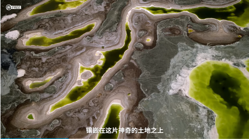 影视飓风.jpg