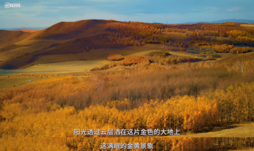 影视飓风，大兴安岭.jpg