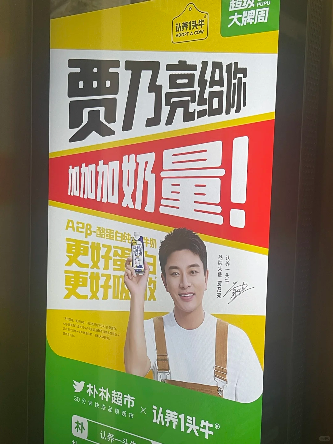 看多了谐音梗，就像猪油蒙了心