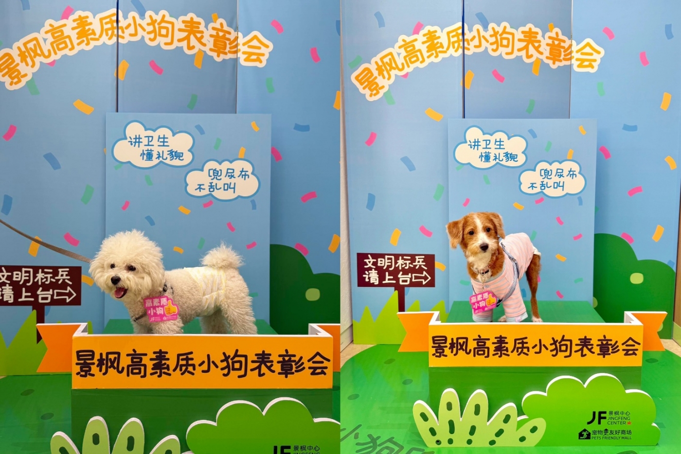 景枫中心.jpg