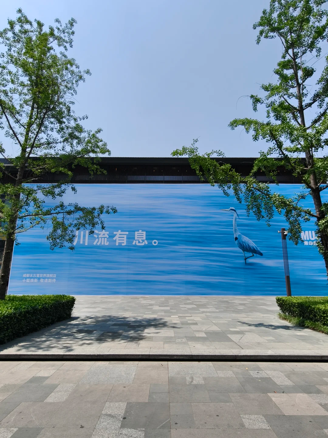 5月，印象最深的8句文案
