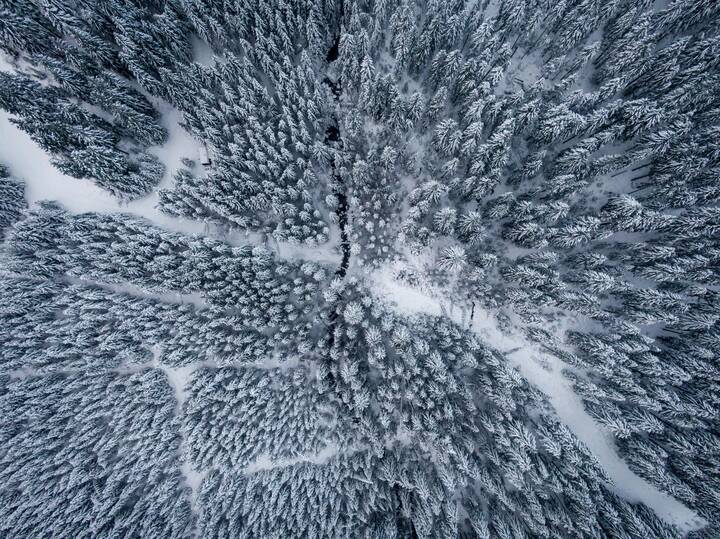 数据标记怎么做？数据标记的方法与应用场景