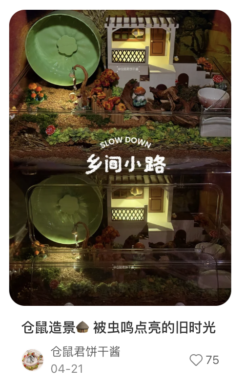 品牌，消费趋势，618