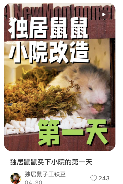 品牌，消费趋势，618
