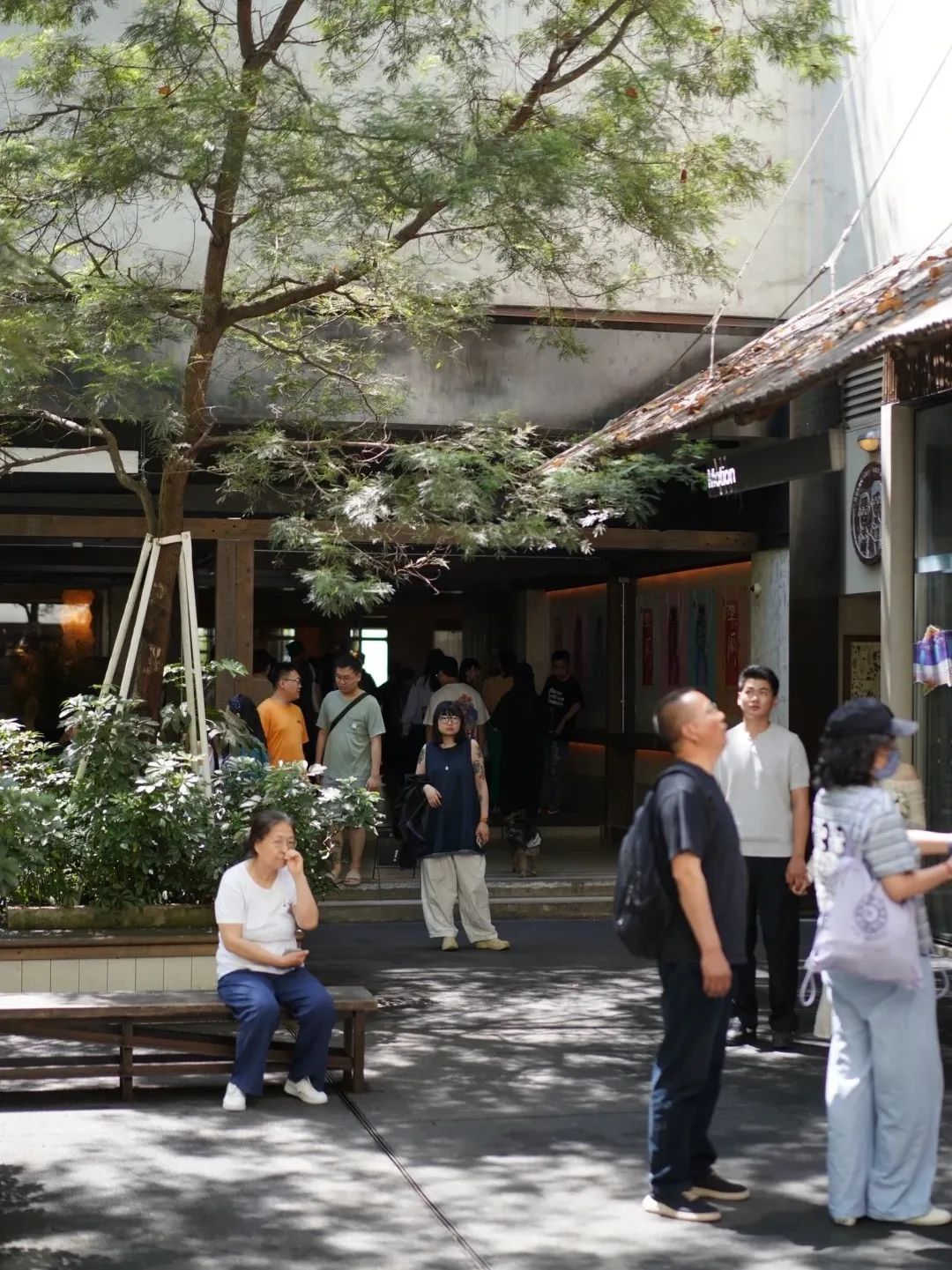 深度聊聊情绪消费与塑料信仰