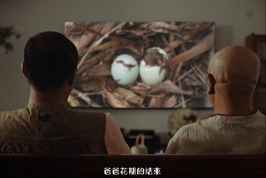 “秃”然破圈！淘宝父亲节营销做对了什么？
