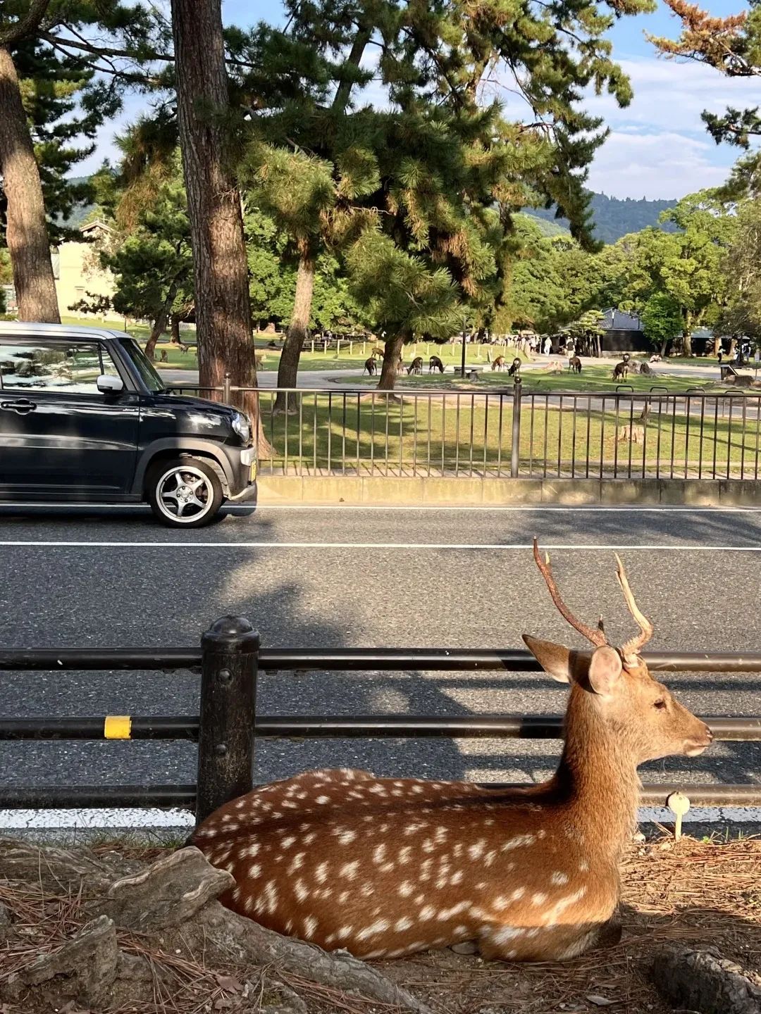 日本的文旅商业，能抄吗？