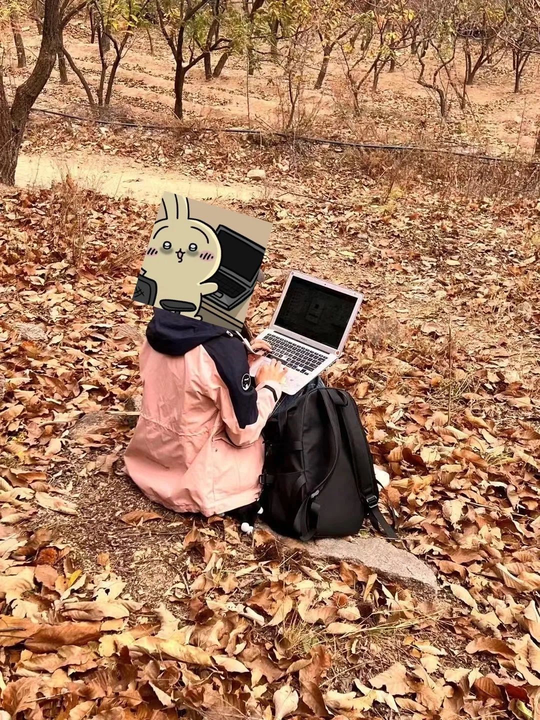 广告人，生活