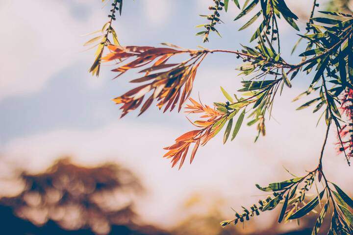 垂直网站有哪些？各行业垂直网站推荐与特点分析